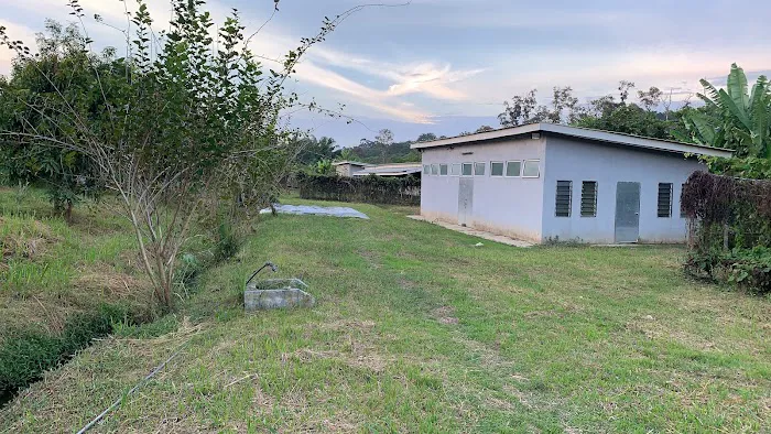 Zen Eco Farm Picture 6