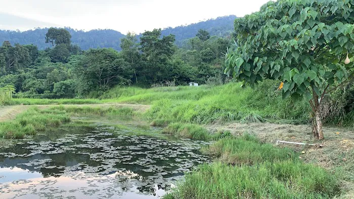 Zen Eco Farm Picture 3