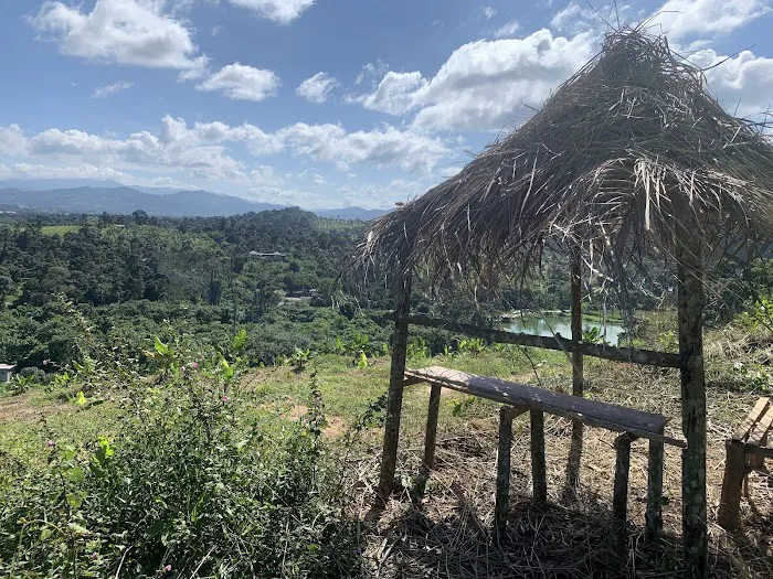 Zen Eco Farm Picture 10