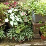 Homestay Ainur Kasih Temerloh