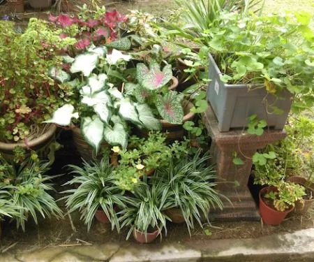 Homestay Ainur Kasih Temerloh
