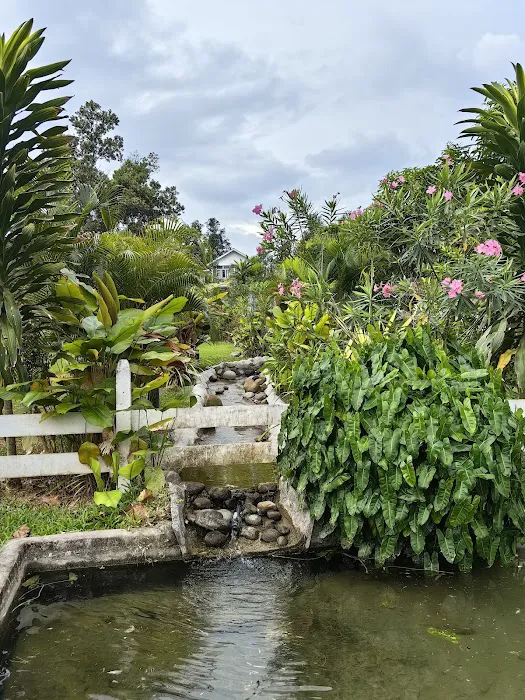 Kebun Cantik Picture 4