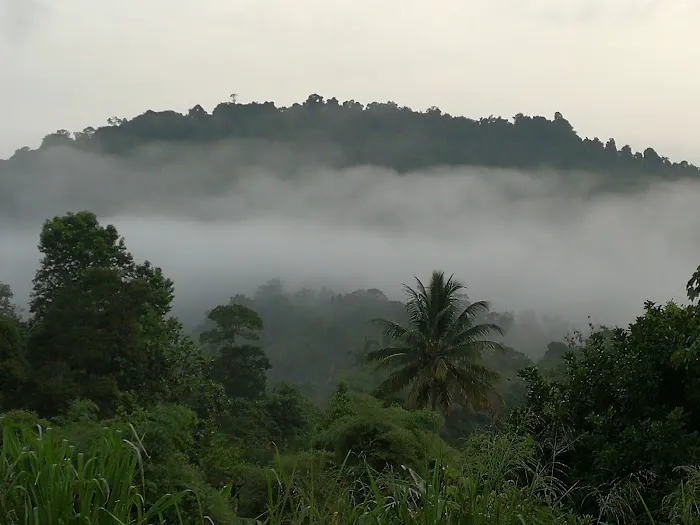 Astra Orchard Villa (homestay) Picture 5