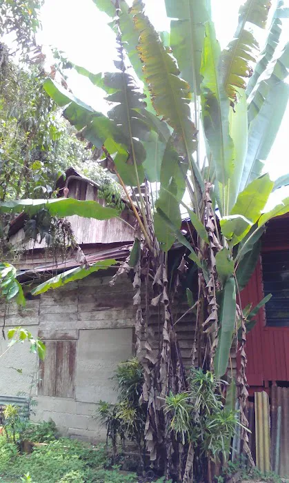 Astra Orchard Villa (homestay) Picture 10