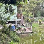 FARMSTAY Du2019costulata