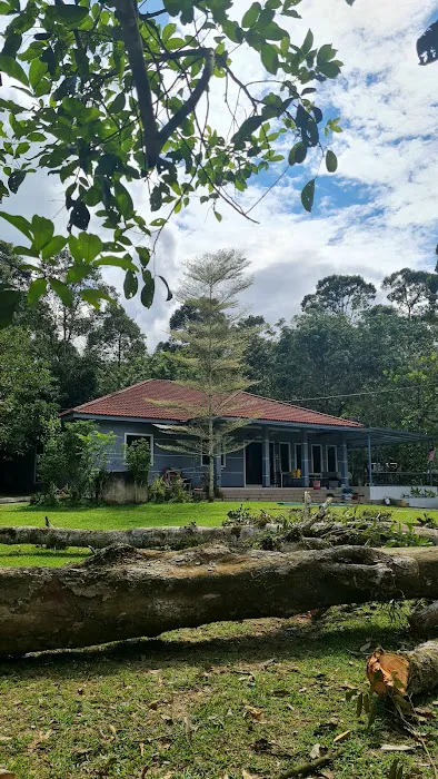 Hani Brother Homestay Picture 4