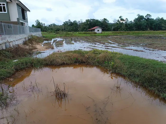 Keluarga cik lah Picture 1
