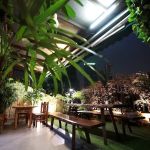 Hotel Rainforest