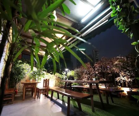 Hotel Rainforest
