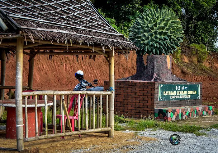Dataran Lembah Durian (LB ) Picture 2