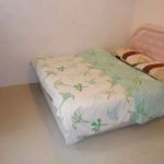 Greenleaf Angsana Homestay