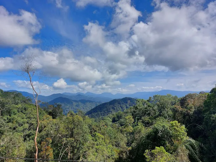 Greenleaf Angsana Homestay Picture 4