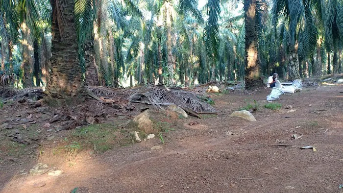 Kem Kubang Picture 3