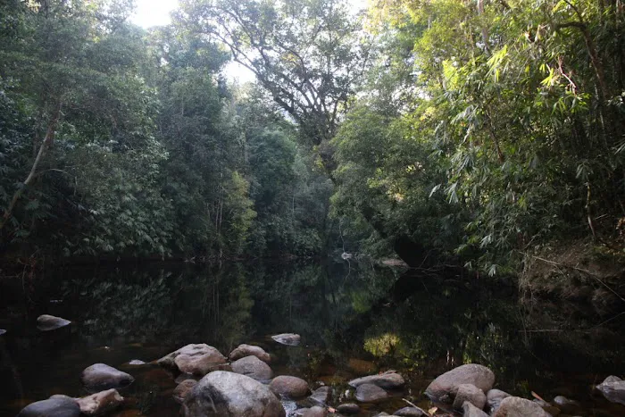 Camp Teku Picture 4