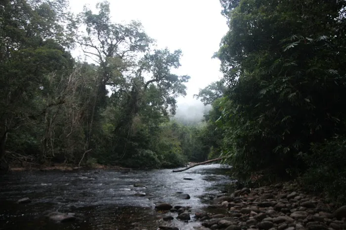 Camp Puteh Picture 3