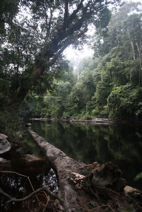 Camp Puteh Picture 7