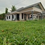 Amirul