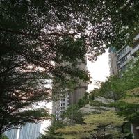 Astoria Satellite Gallery ico