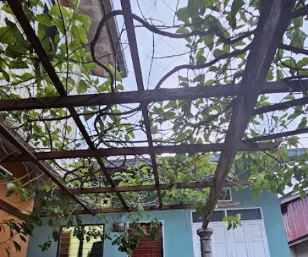 Homestay Pondok Tempua