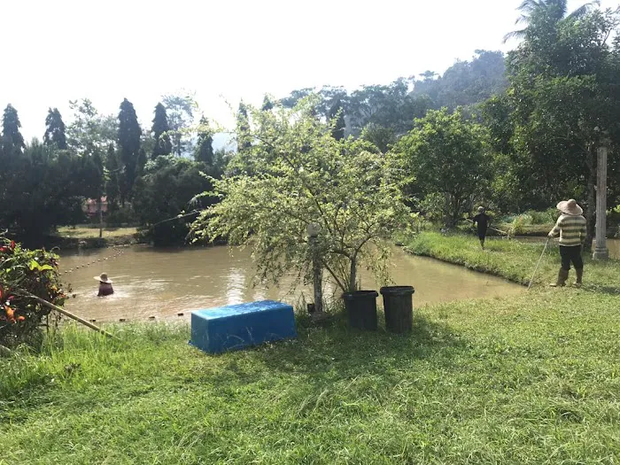 AQUAD Janda Baik Fishery Picture 2