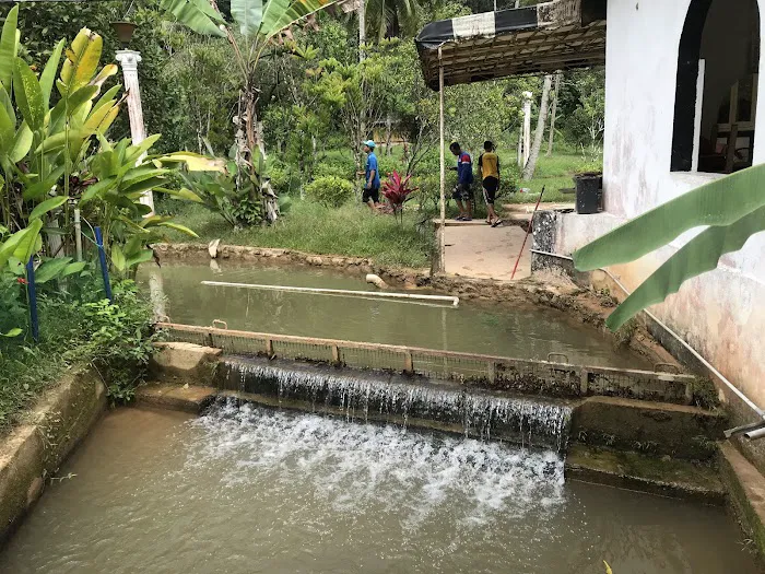 AQUAD Janda Baik Fishery Picture 1
