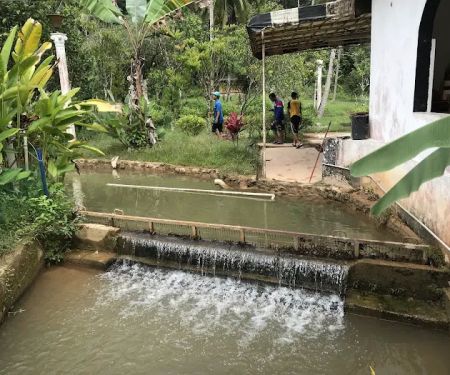 AQUAD Janda Baik Fishery