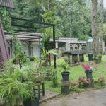 Danau Daun Chalets