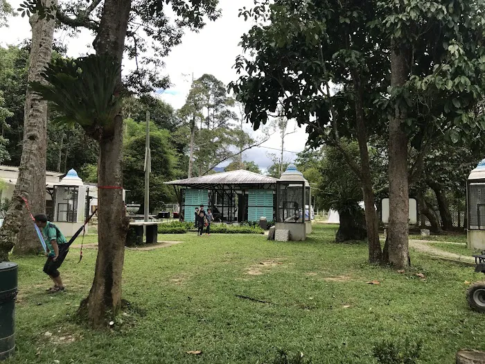 Danau Daun Chalets Picture 5