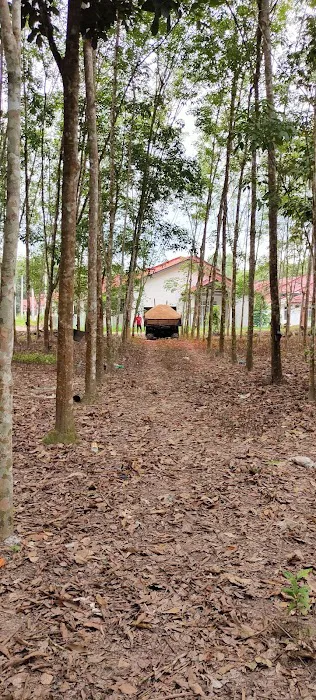 A&A Agro Farm Picture 3