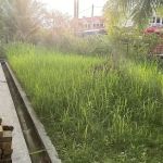Gerik Angsana Homestay