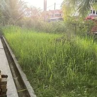 Gerik Angsana Homestay ico