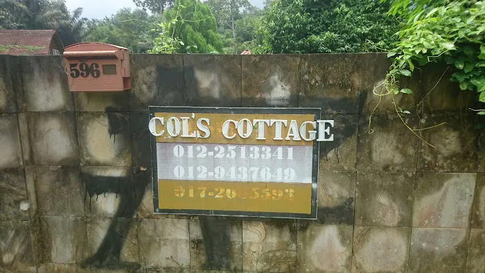 Col's Cottage Picture 4