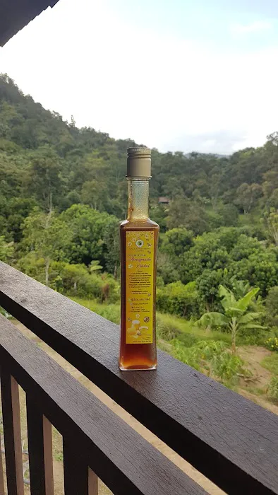 Dusun Lestari Resort Picture 5