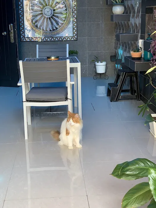 Kantan Permai Townhouse Picture 3