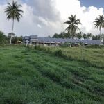 Singgah Homestay Haji Man