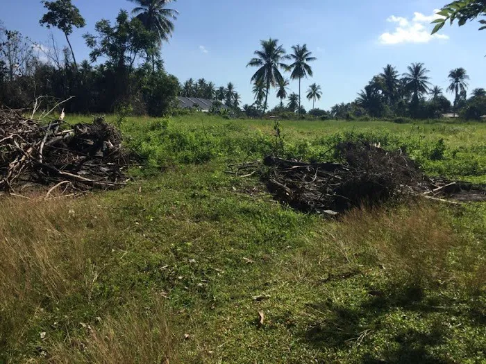 Tanah Lubok Tembesu Picture 6
