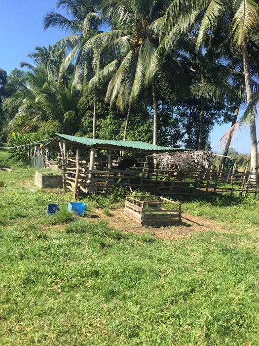 Tanah Lubok Tembesu Picture 10