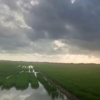 Cherang Hangus ico