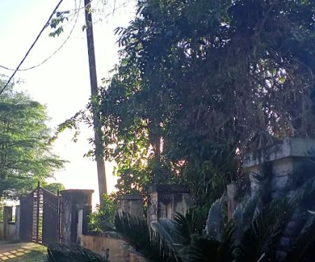 Teratak pintu pagar kayu supian