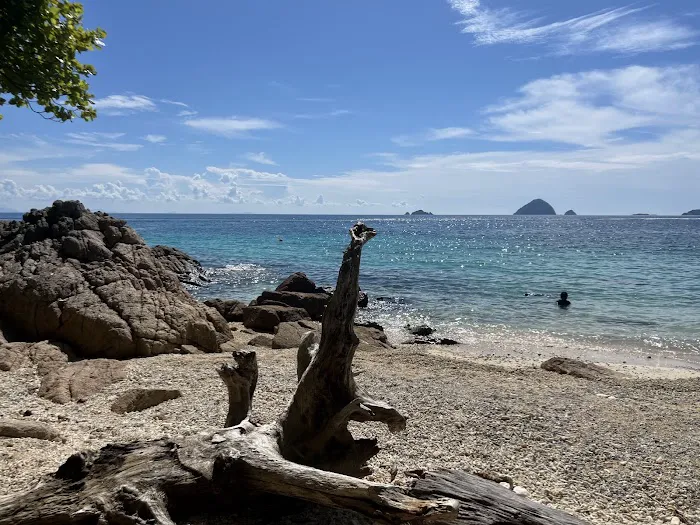 Shari-la Island Resort Picture 10