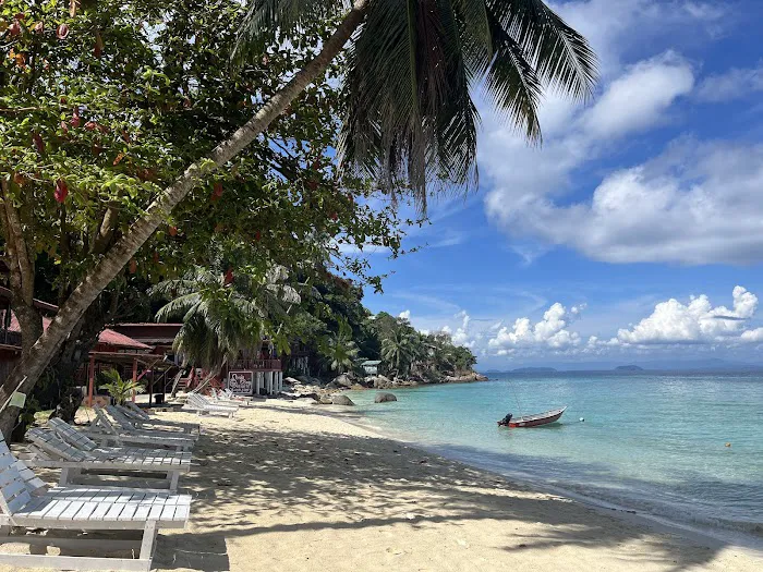 Senja Bay Resort Picture 5