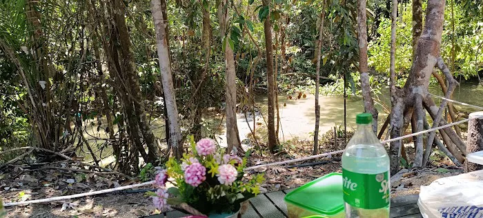 Taman Rimba Gua Bahtera Picture 1
