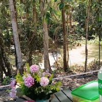Taman Rimba Gua Bahtera ico