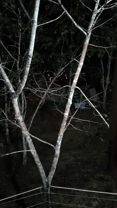 Campsite Lata Cikgu Picture 9