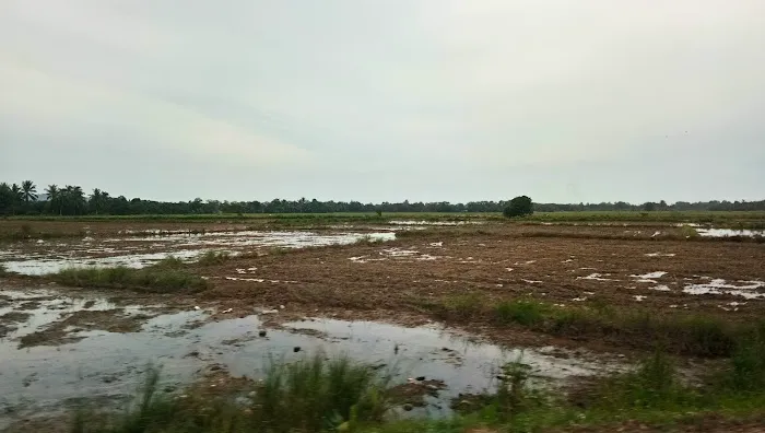 TERATAK SUFI HOMESTAY KELANTAN Picture 10