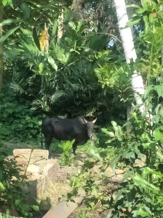 Homestay Sukaramai Picture 9