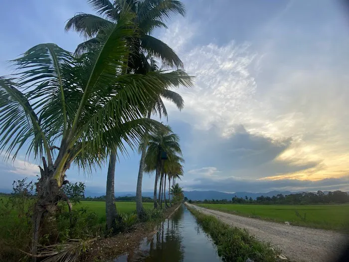 Kg Awek Darau Picture 2