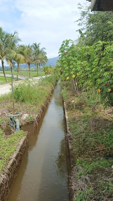 Kg Awek Darau Picture 5