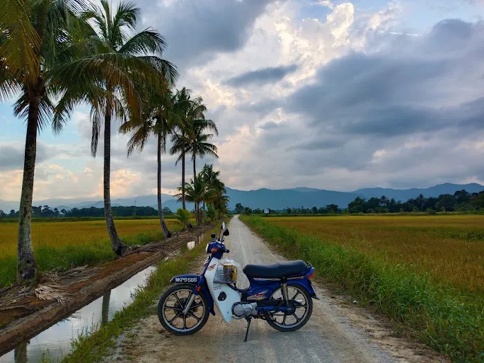 Kg Awek Darau Picture 6