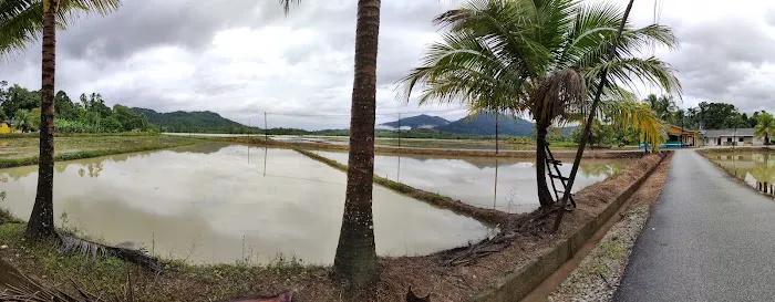 Kg Awek Darau Picture 4